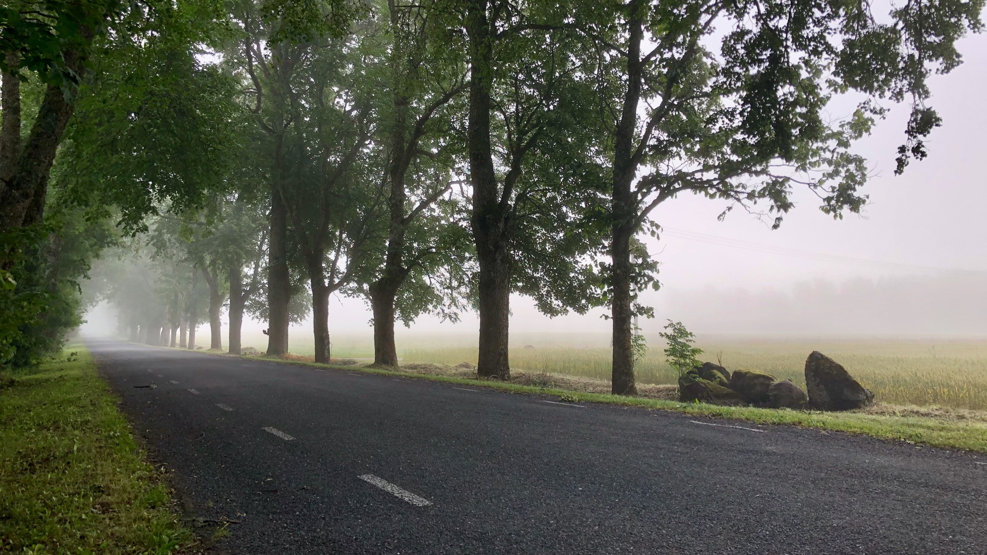 The hidden influences shaping your leadership style